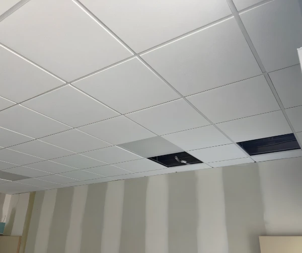 Pose plafond rampant isolation